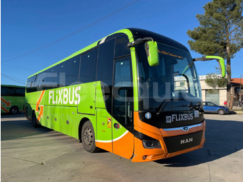 长途客车 MAN Lion's Coach