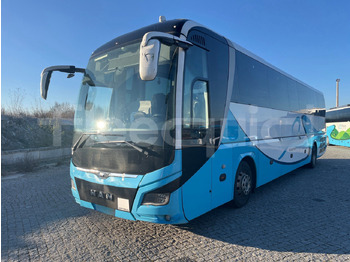 Man Lion's Coach 租赁 Man Lion's Coach:图4 Man Lion's Coach 租赁 Man Lion's Coach:图4