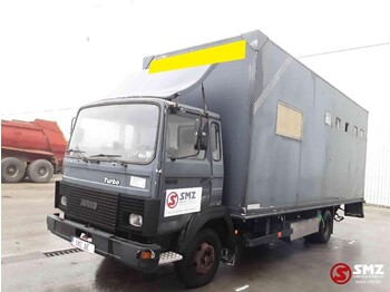牲畜运输车 Iveco Magirus 80 16 horse truck:图3 牲畜运输车 Iveco Magirus 80 16 horse truck:图3