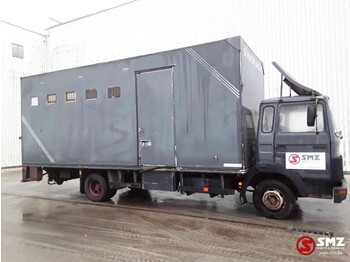 牲畜运输车 Iveco Magirus 80 16 horse truck:图4 牲畜运输车 Iveco Magirus 80 16 horse truck:图4