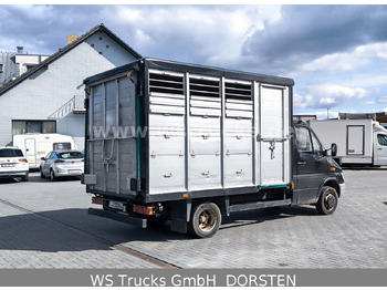 牲畜运输车 Mercedes-Benz Sprinter 411 CDI Viehtransporter:图3 牲畜运输车 Mercedes-Benz Sprinter 411 CDI Viehtransporter:图3