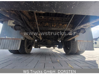 牲畜运输车 Mercedes-Benz Sprinter 411 CDI Viehtransporter:图5 牲畜运输车 Mercedes-Benz Sprinter 411 CDI Viehtransporter:图5