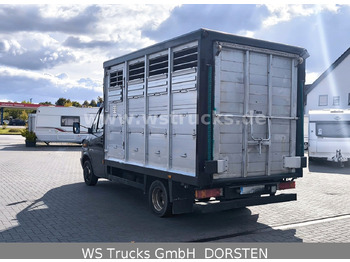 牲畜运输车 Mercedes-Benz Sprinter 411 CDI Viehtransporter:图4 牲畜运输车 Mercedes-Benz Sprinter 411 CDI Viehtransporter:图4