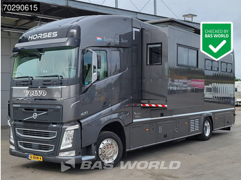 马匹运输车 VOLVO FH 420