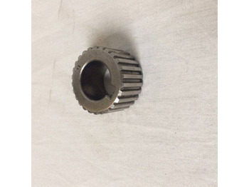 : 标题部分照片