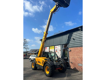 伸缩臂叉装车 Dieci Agri Farmer 28.7：图4