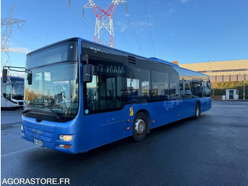 巴士 MAN Lion's City A21