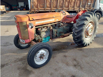 拖拉机 MASSEY FERGUSON