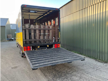 卡车 SCANIA - TORPEDO - T 113 H 320- AUTOMATIC - TRUCK - 1996：图5