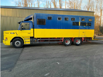 卡车 SCANIA - TORPEDO - T 113 H 320- AUTOMATIC - TRUCK - 1996：图3