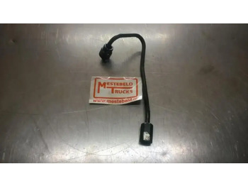 : 标题部分照片