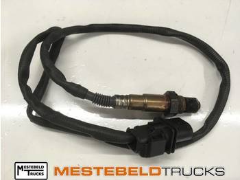 : 标题部分照片