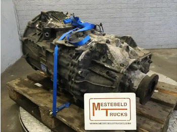 : 标题部分照片