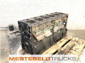 : 标题部分照片