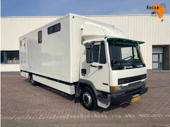 马匹运输车 DAF LF 45 130