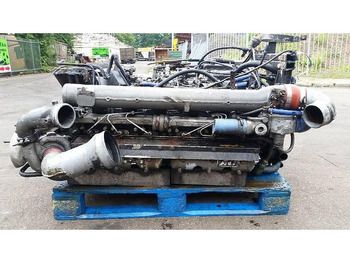 : 标题部分照片