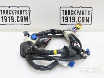 : 标题部分照片