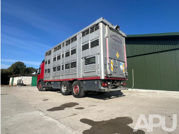 Volvo Fm 410 DO PRZEWOZU BYDŁA 租赁 Volvo Fm 410 DO PRZEWOZU BYDŁA：图3