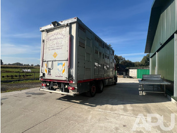 Volvo Fm 410 DO PRZEWOZU BYDŁA 租赁 Volvo Fm 410 DO PRZEWOZU BYDŁA：图5