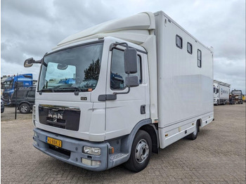 马匹运输车 MAN TGL 12.250