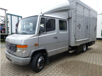 马匹运输车 MERCEDES-BENZ Vario