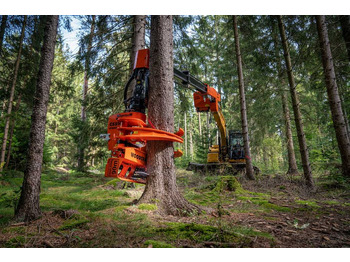 : 标题部分照片