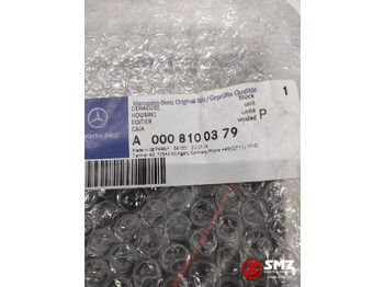 后视镜 适用于 卡车 Mercedes-Benz Occ zijspiegel Mercedes Atego Axor A0008100379：图3
