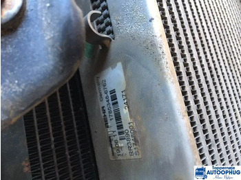 发动机及其零件 SCANIA P