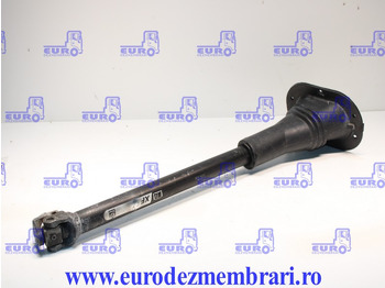 驾驶室和内部 DAF XF