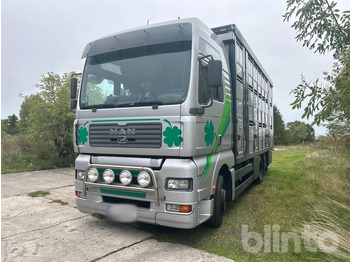 牲畜运输车 MAN TGA
