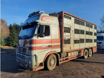 牲畜运输车 volvo FH12：图1