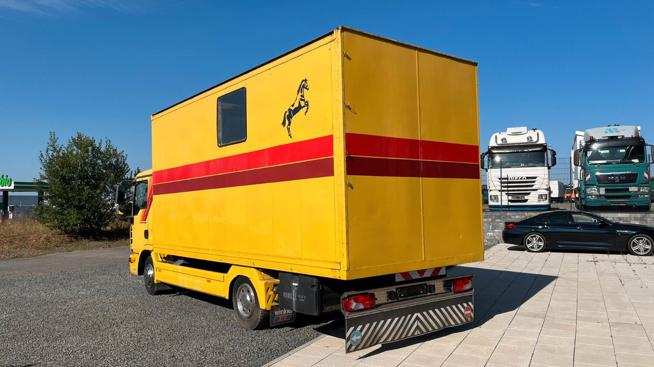 MAN TGL 10.180 Euro 4 Pferdetransporter Horse MAN TGL 10.180 Euro 4 Pferdetransporter Horse - 马匹运输车:图5 MAN TGL 10.180 Euro 4 Pferdetransporter Horse MAN TGL 10.180 Euro 4 Pferdetransporter Horse - 马匹运输车:图5