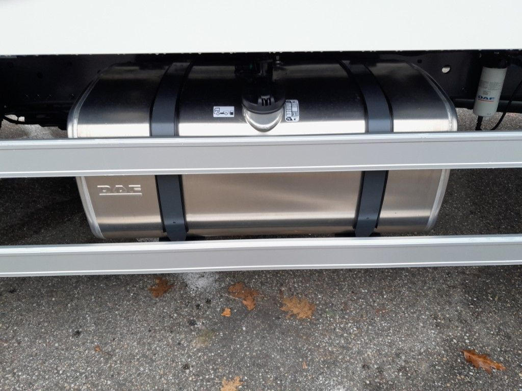 DAF FA XB 290 16t Spier Plywoodkoffer 租赁 DAF FA XB 290 16t Spier Plywoodkoffer:图14 DAF FA XB 290 16t Spier Plywoodkoffer 租赁 DAF FA XB 290 16t Spier Plywoodkoffer:图14