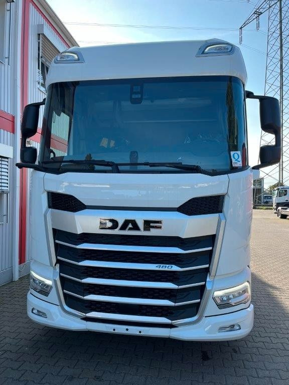 DAF FAN XF 480 ohne Aufbau - 驾驶室底盘卡车:图3 DAF FAN XF 480 ohne Aufbau - 驾驶室底盘卡车:图3