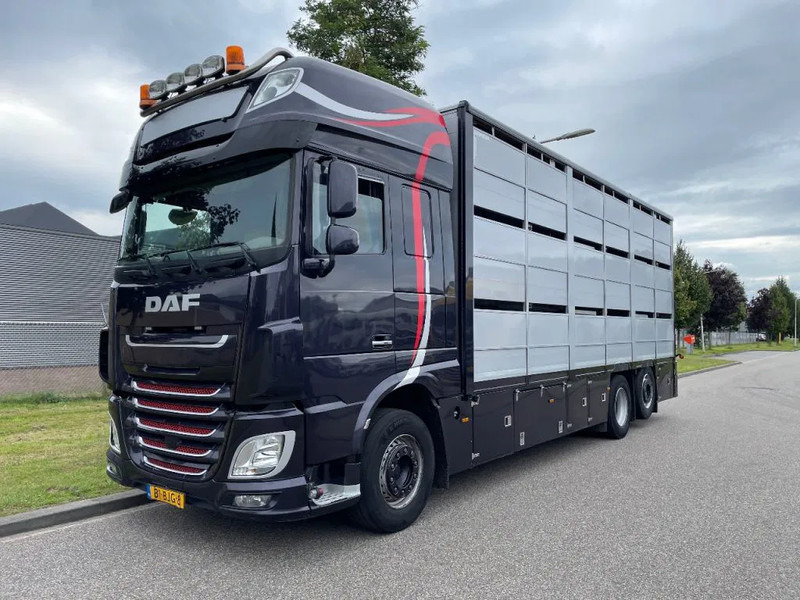 DAF XF 460 2017 berdex 3 lagen varkens - 牲畜运输车:图1 DAF XF 460 2017 berdex 3 lagen varkens - 牲畜运输车:图1