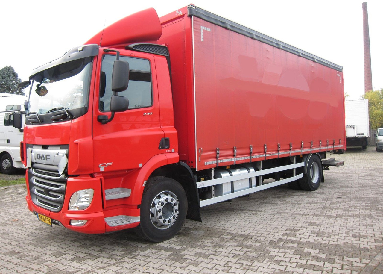 DAF CF 230 19T Schiebeplane LDW Portalturen - 侧帘卡车:图2 DAF CF 230 19T Schiebeplane LDW Portalturen - 侧帘卡车:图2