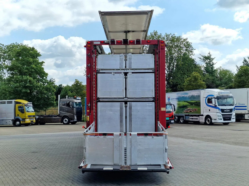Berdex Scania R450 + 3 deck livestock - Water &Ventilation - Loadlift - - 牲畜运输半拖车:图5 Berdex Scania R450 + 3 deck livestock - Water &Ventilation - Loadlift - - 牲畜运输半拖车:图5