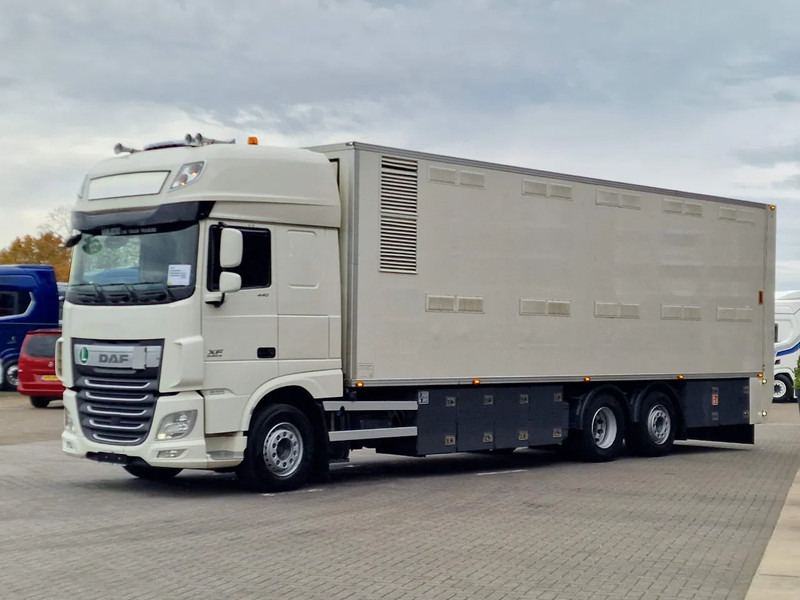 DAF XF 440 SuperSpaceCab 6x2*4 - 2 deck Closed Livestock - 40M2 - Filtersystem - 牲畜运输车:图3 DAF XF 440 SuperSpaceCab 6x2*4 - 2 deck Closed Livestock - 40M2 - Filtersystem - 牲畜运输车:图3