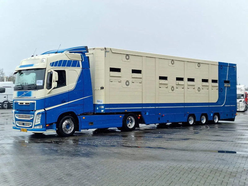 Volvo FH 500 4x2 + 2 deck livestock - Ventilation - Moving floors - 2x steering axle VSE - 牵引车:图3 Volvo FH 500 4x2 + 2 deck livestock - Ventilation - Moving floors - 2x steering axle VSE - 牵引车:图3