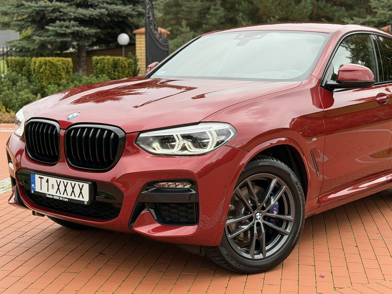 BMW X4 - 越野车:图5 BMW X4 - 越野车:图5