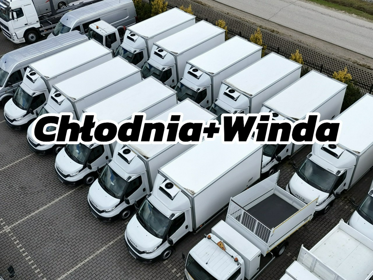 Iveco Daily 35S16 V - 冷藏货车:图1 Iveco Daily 35S16 V - 冷藏货车:图1