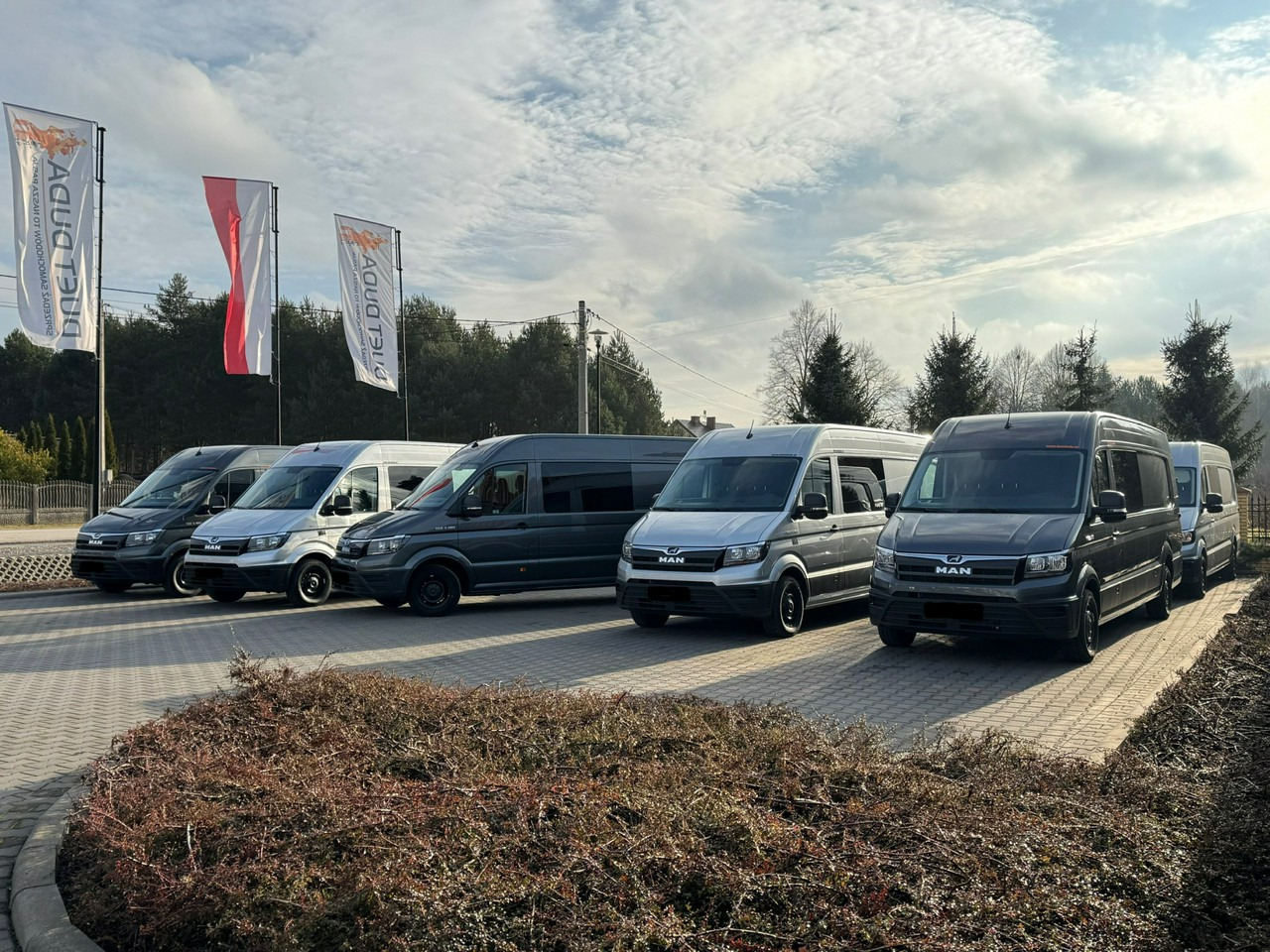 Mercedes Sprinter - 无侧窗厢式货车:图1 Mercedes Sprinter - 无侧窗厢式货车:图1