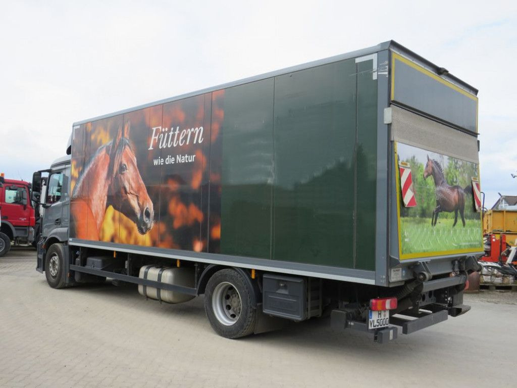 Mercedes-Benz Antos 1830 L nR 4x2 Standardkoffer LBW LBW 2to+F - 厢式卡车:图3 Mercedes-Benz Antos 1830 L nR 4x2 Standardkoffer LBW LBW 2to+F - 厢式卡车:图3