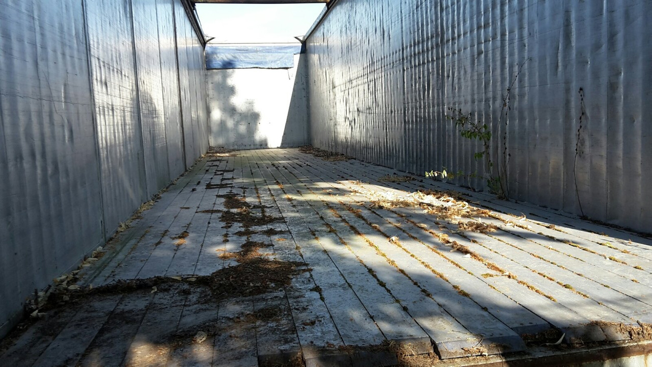 Reisch RSBS-35/24 PV RSBS-35/24 PV Walkingfloor ca. 86m³, Alu - 活动底半拖车:图2 Reisch RSBS-35/24 PV RSBS-35/24 PV Walkingfloor ca. 86m³, Alu - 活动底半拖车:图2