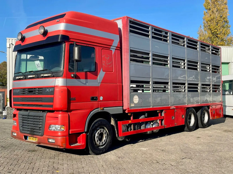 DAF XF 95.430 BERDEX 3 decks. Water, fans, Scales! Excellent condition. - 牲畜运输车:图2 DAF XF 95.430 BERDEX 3 decks. Water, fans, Scales! Excellent condition. - 牲畜运输车:图2