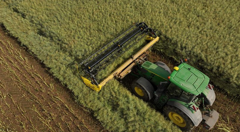 新的 谷物收割装置 Honey Bee ST 36 - BANDSCHWADMÄHWERK:图24 新的 谷物收割装置 Honey Bee ST 36 - BANDSCHWADMÄHWERK:图24