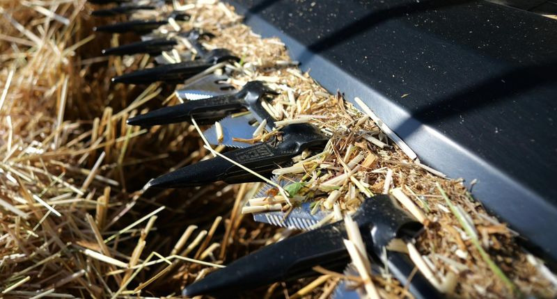 新的 谷物收割装置 Honey Bee ST 36 - BANDSCHWADMÄHWERK:图6 新的 谷物收割装置 Honey Bee ST 36 - BANDSCHWADMÄHWERK:图6