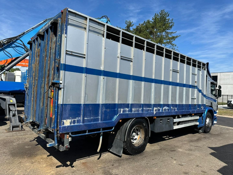 Scania P310 4x2 LIVESTOCK / VEEWAGEN / TIERTRANSPORT / BETAILLERE - ALU BOX 7m - MANUAL - A/C - BELGIAN TRUCK - 牲畜运输车:图5 Scania P310 4x2 LIVESTOCK / VEEWAGEN / TIERTRANSPORT / BETAILLERE - ALU BOX 7m - MANUAL - A/C - BELGIAN TRUCK - 牲畜运输车:图5
