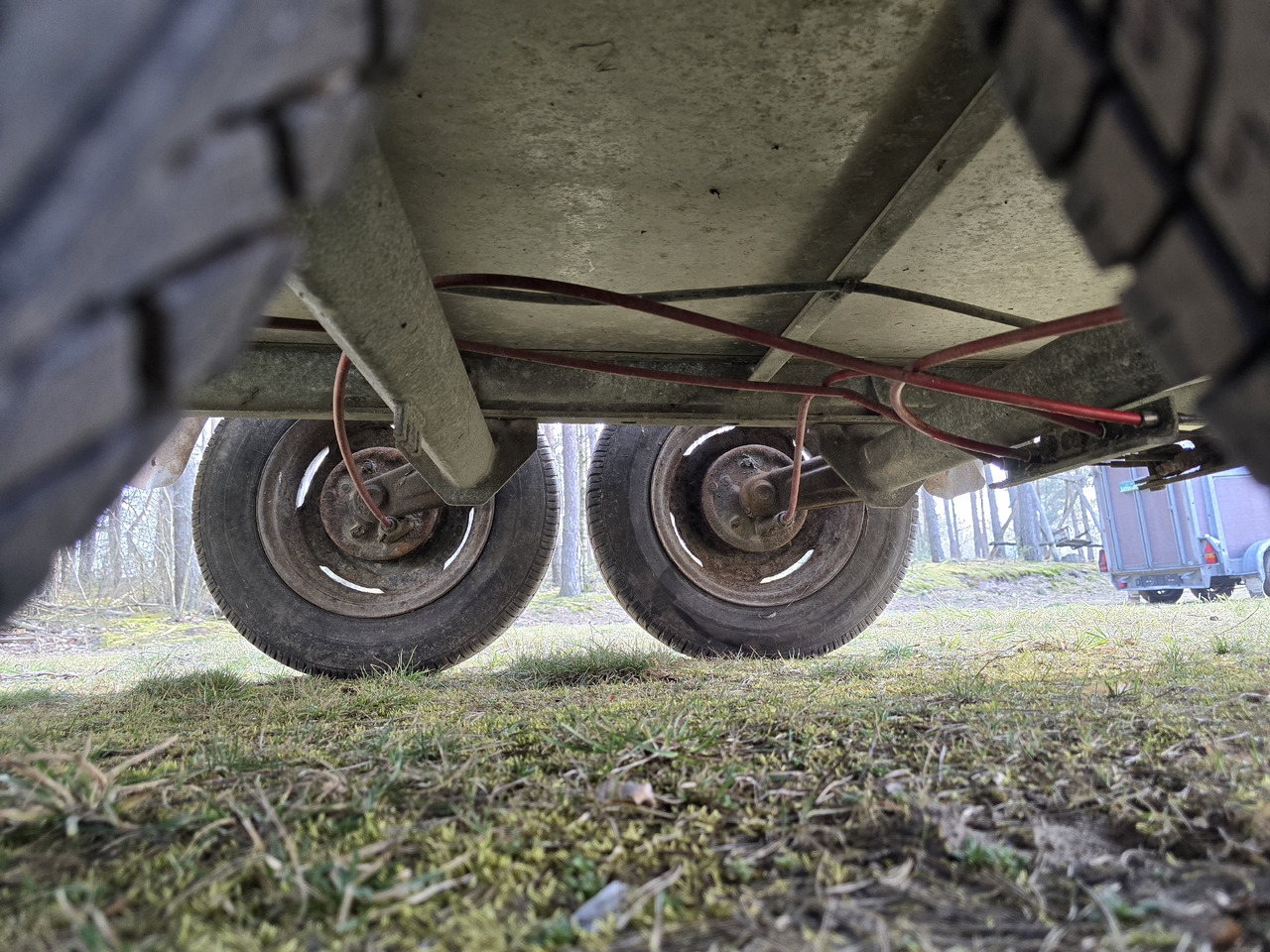 PONGRATZ PA 310 T - 牲畜运输拖车:图4 PONGRATZ PA 310 T - 牲畜运输拖车:图4