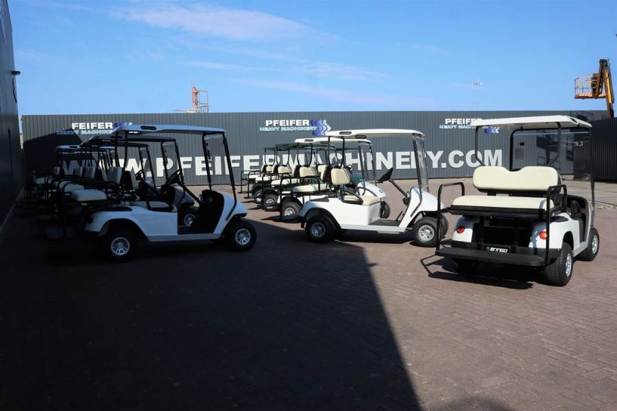 BRINGO DG-C2 Valid Inspection, *Guarantee! Dutch R - 高尔夫球车:图5 BRINGO DG-C2 Valid Inspection, *Guarantee! Dutch R - 高尔夫球车:图5